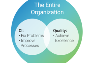 둘 다 전체 조직의 일부인 지속적인 개선 vs. 품질 벤 다이어그램.
